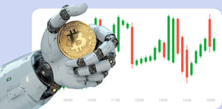 Interface de gestion Braise Capitence pour la plateforme de trading de cryptomonnaies