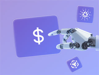 Affichage des profits et du solde du portefeuille crypto en expansion sur Braise Capitence
